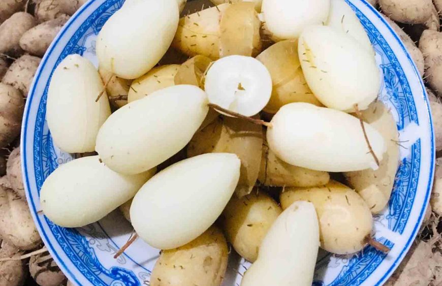 ảnh luộc củ lùn bao lâu thì chín